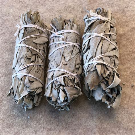 3 Pack White Sage Smudge Sticks Perfect Sage Stick Smudge Sticks Smudging Kit Replenishment ...