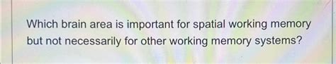 Solved Which brain area is important for spatial working | Chegg.com