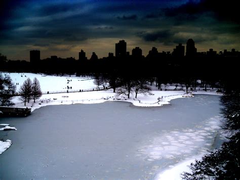 central park, winter | Natural landmarks, Central park, Park