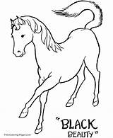Horses coloring Book Pages To color sketch template