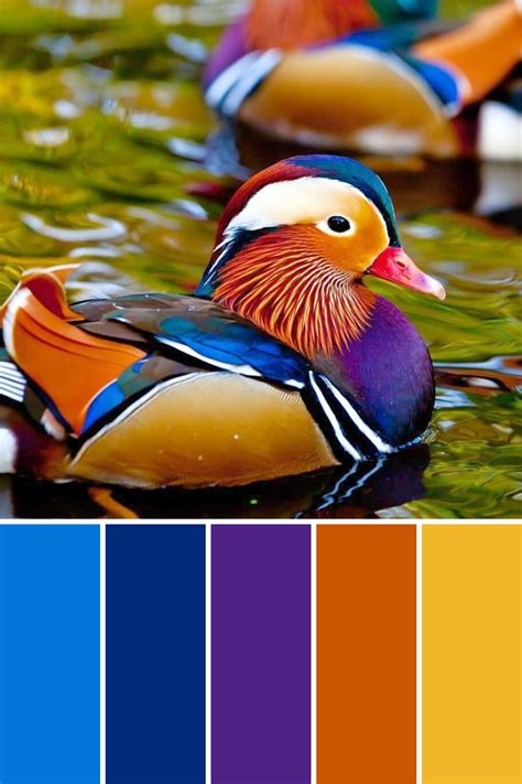 Mandarin Duck palette | Nature color palette, Beautiful birds, Color ...