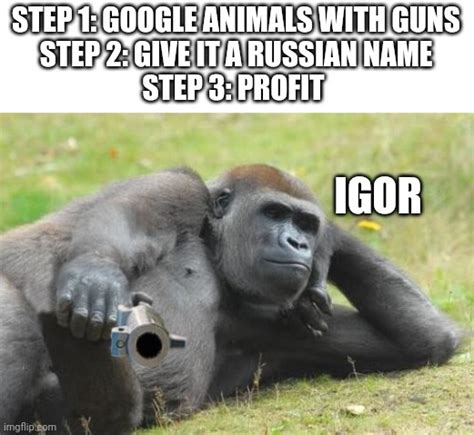 Gorilla with Gun - Imgflip