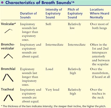 characteristics of breath sounds chart | A&P | Pinterest | Nurse teaching, Breath sounds, Lung ...