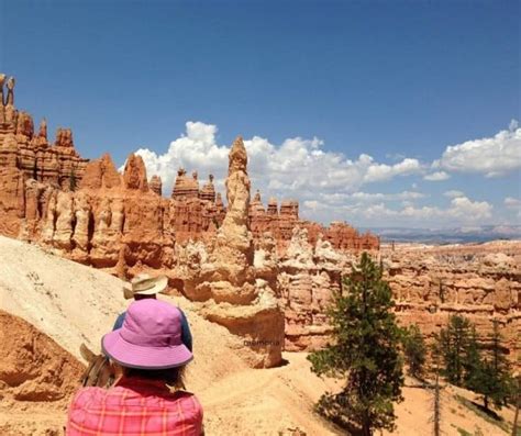 Bryce Canyon With Kids- The Best Hikes, Activities & More!