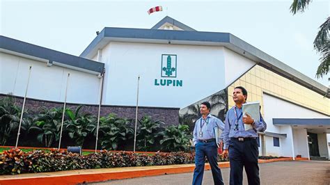 Lupin share price hits 52-week high, up about 65% in a year; should you buy? | Stock Market News