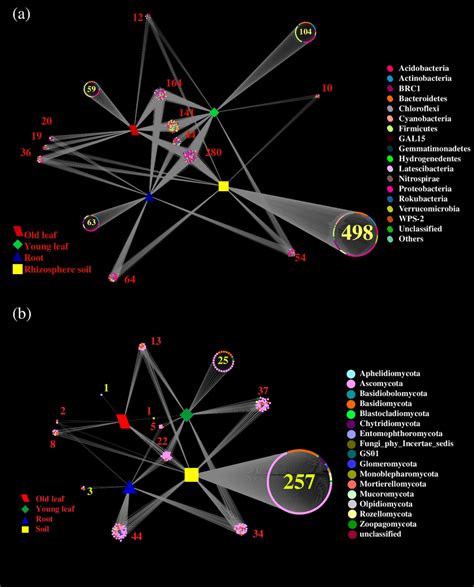 Venn diagrams showing shared and specific bacterial OTUs in different... | Download Scientific ...