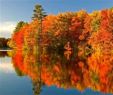 Vermont, Maine In The Fall, New England Fall Foliage, Algonquin Park, Fall Travel, Cnn Travel ...