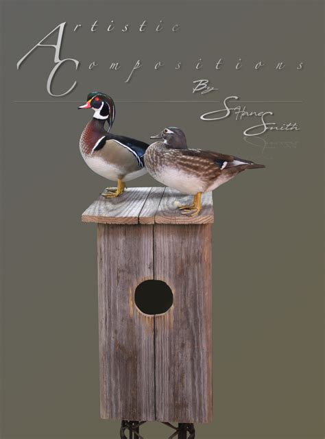 Wood Duck Mounts | *** Waterfowl Taxidermy *** Upland Taxidermy *** Duck Taxidermy