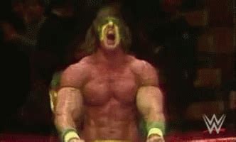 Wwe GIFs | Tenor