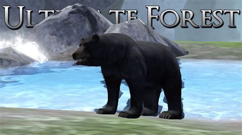 The Perfect Place to Raise a Bear Cub!! • Ultimate Forest Simulator - YouTube