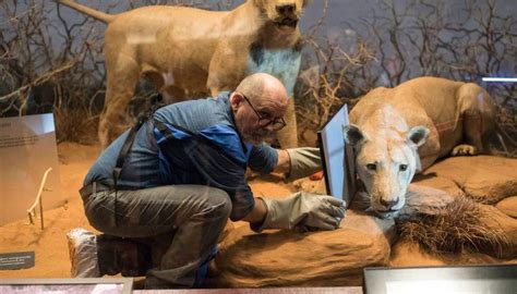 The Man-Eating Lions of Tsavo: A Dark & Strange Story