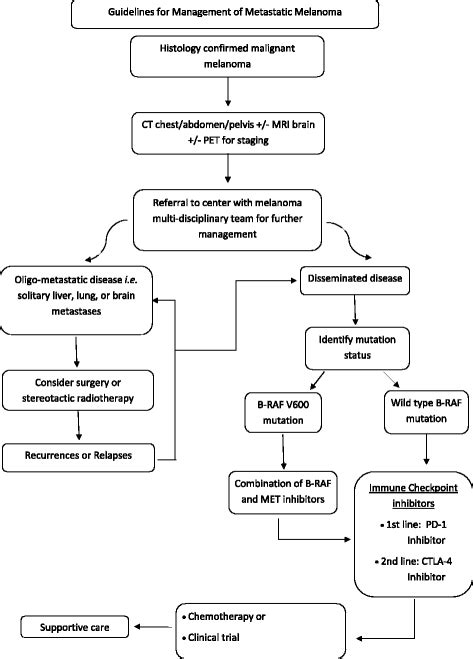 Treatment guideline algorithm for metastatic melanoma. CT Computed ...