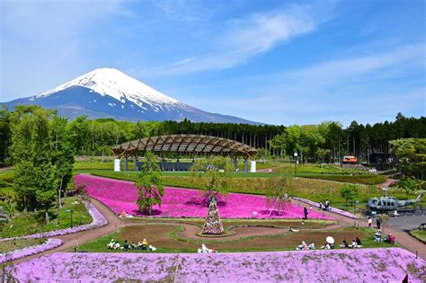 THE 10 BEST Things to Do in Gotemba (Updated 2024) - Tripadvisor