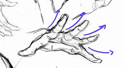 How to Draw Hands, a Step-by-Step Guide – GVAAT'S WORKSHOP