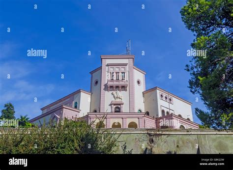 Zog hi-res stock photography and images - Alamy