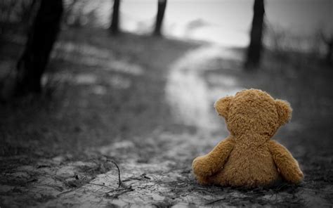 Sad Bear Wallpapers - Top Free Sad Bear Backgrounds - WallpaperAccess