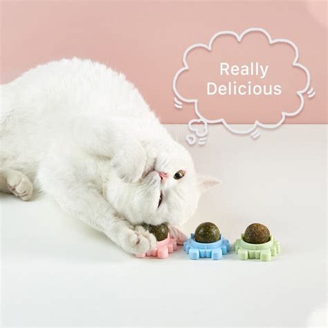 Catnip Ball Toy | cat catnip candy toy | catnip candy and toy ...