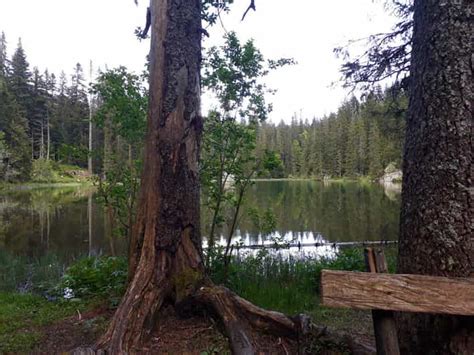 From Žabljak: Durmitor National Park Private Hiking Tour | GetYourGuide