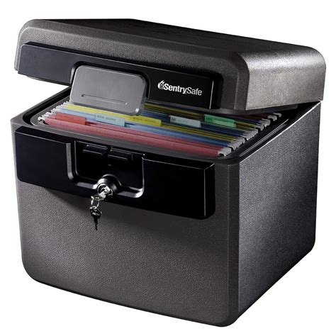 SentrySafe Fireproof and Waterproof Safe Box with Key Lock, File and ...