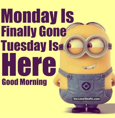 Happy Tuesday Quotes Hilarious Good Morning Tuesday Memes - ShortQuotes.cc