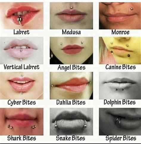 Pin by Kitty Kitana on Tats/Piercings | Lip piercing, Piercings, Ear ...