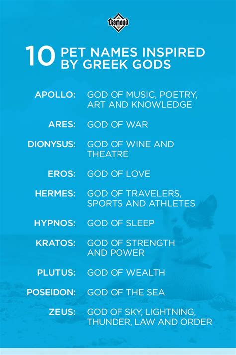 Greek-God-Inspired Pet Names in 2021 | Pet names, Fun cat names, Greek gods