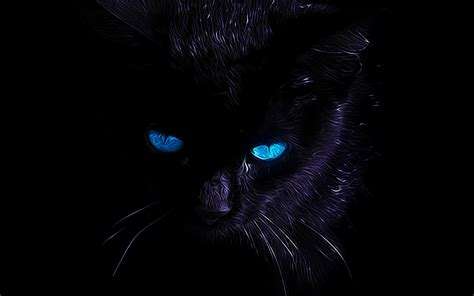 Black Cat wallpaper 7