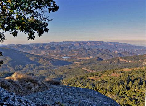 The beauty of Vumba Mountains on Mozambique-Zimbabwe border - See ...