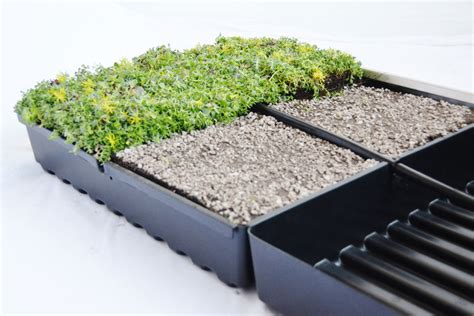 How Modular Plant Trays Simplify Green Roof Design - gb&d