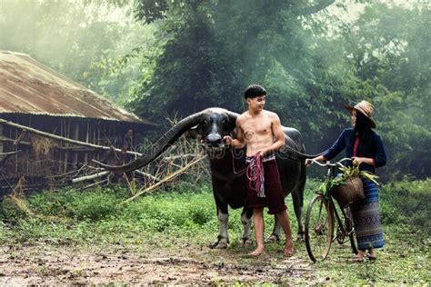 Farmer Lifestyle on the Countryside Stock Image - Image of relationship, friendship: 78654833