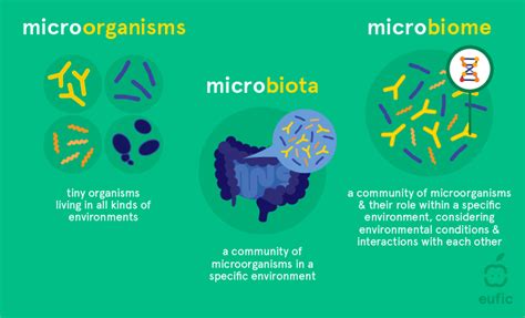 What is the microbiome and why is it important? | Eufic