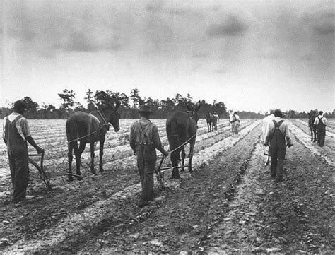 Home - South Carolina History - LibGuides at University of South ...