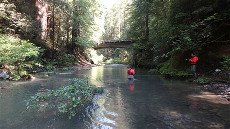 South Fork Eel River WAP | California State Water Resources Control Board