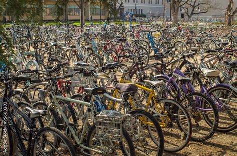 Bikes at UC Davis campus foto de Stock | Adobe Stock