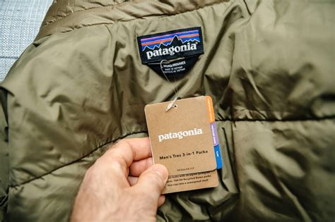 10 Best Patagonia Winter Jackets (2024)