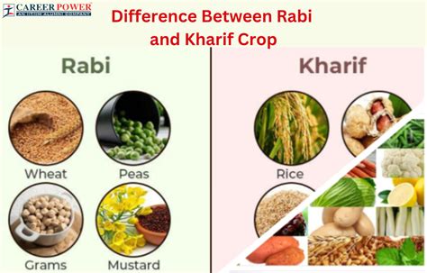 Difference Between Rabi and Kharif Crops