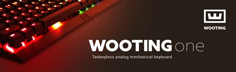 WOOTING ONE Linear55 Red Analog RGB TKL Gaming Keyboard - Newegg.com