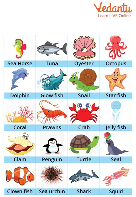 Aquatic Animals - Structure, Types and Function