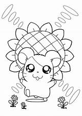 Coloring Page  Hamtaro coloring Pages 259 Cute sketch template