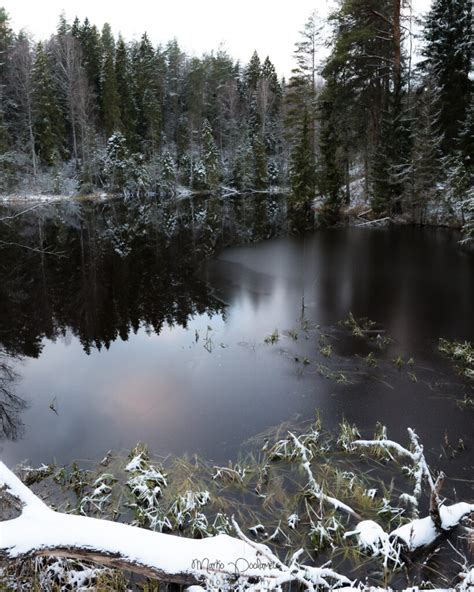 Winter in Estonia - Capture Estonia Nature and Photography Tours