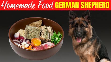 Homemade Food for German Shepherd | Recipes And Preparation Method ...