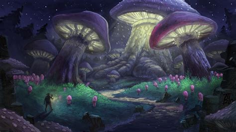 Mushroom Forest Wallpaper (64+ images)