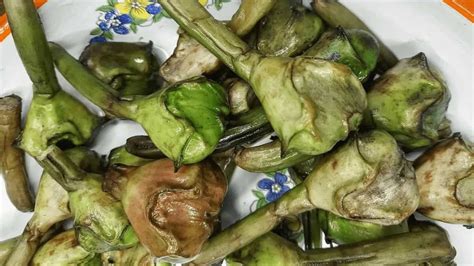 Water Chestnuts: All You Need To Know About Singhada; Recipes Inside