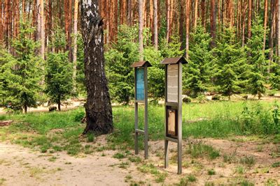 Sobibor Extermination Camp - Жлобек | museum, Second World War 1939 ...