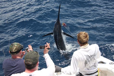 Atlantic Fishing Charter NEWS: junio 2012