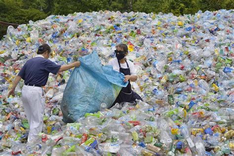 Ces photos qui prouvent les ravages de la pollution plastique sur la ...