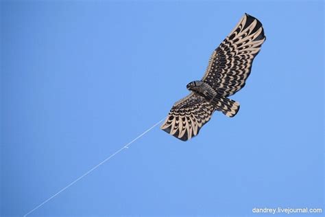 Japanese Kite Festival in Haifa | Amusing Planet