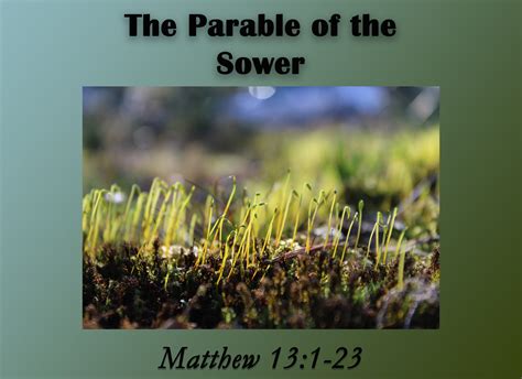 Sermon “The Parable of the Sower” | Forest Grove Baptist Church