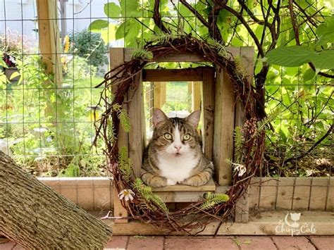 9 Awesome ways to bring your catio to life with these catio accessories