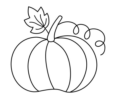 Vector cute black and white pumpkin. Autumn vegetable. Outline squash. Funny veggie harvest line ...